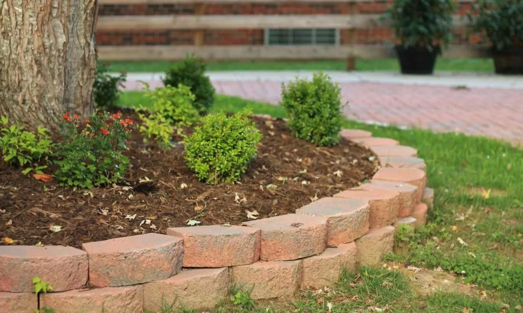 Clean, weed-free landscape bed with stone border edging