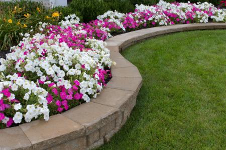 Flower bed with seasonal blooms and stone edging along a lawn