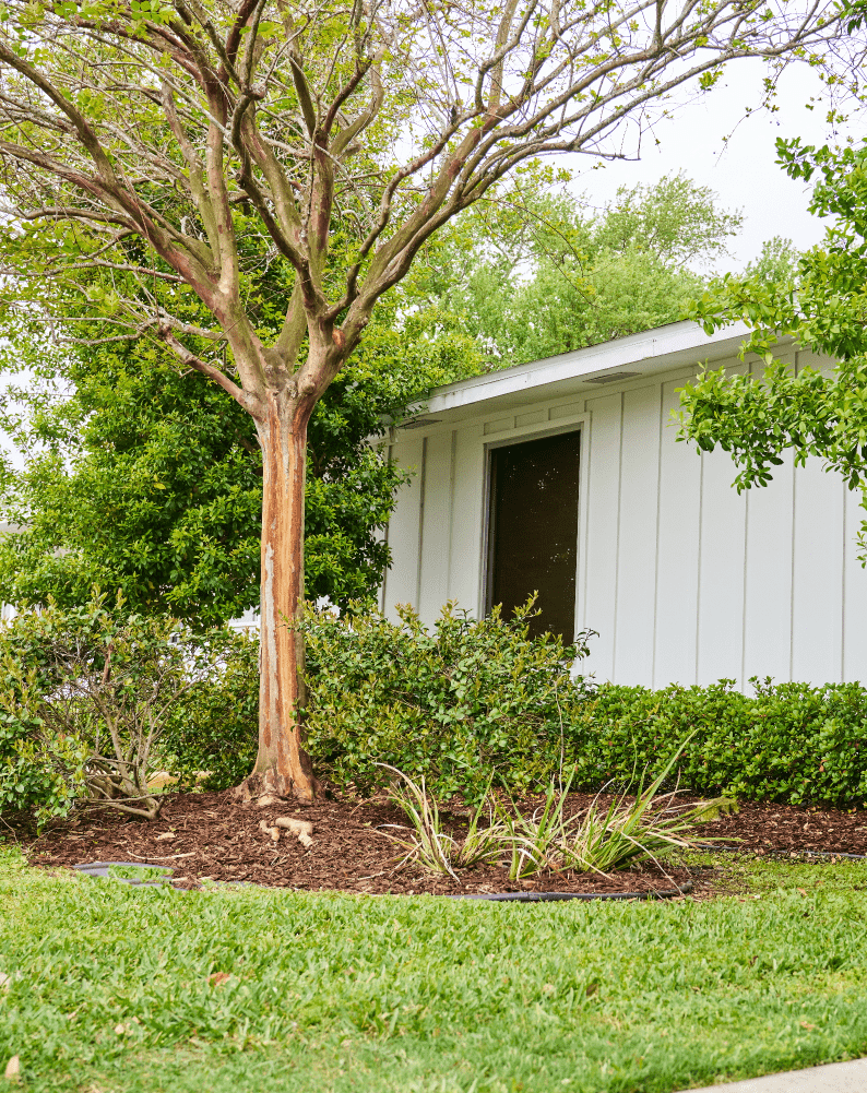 Freshly mulched landscape bed with clean edges in Metairie, LA