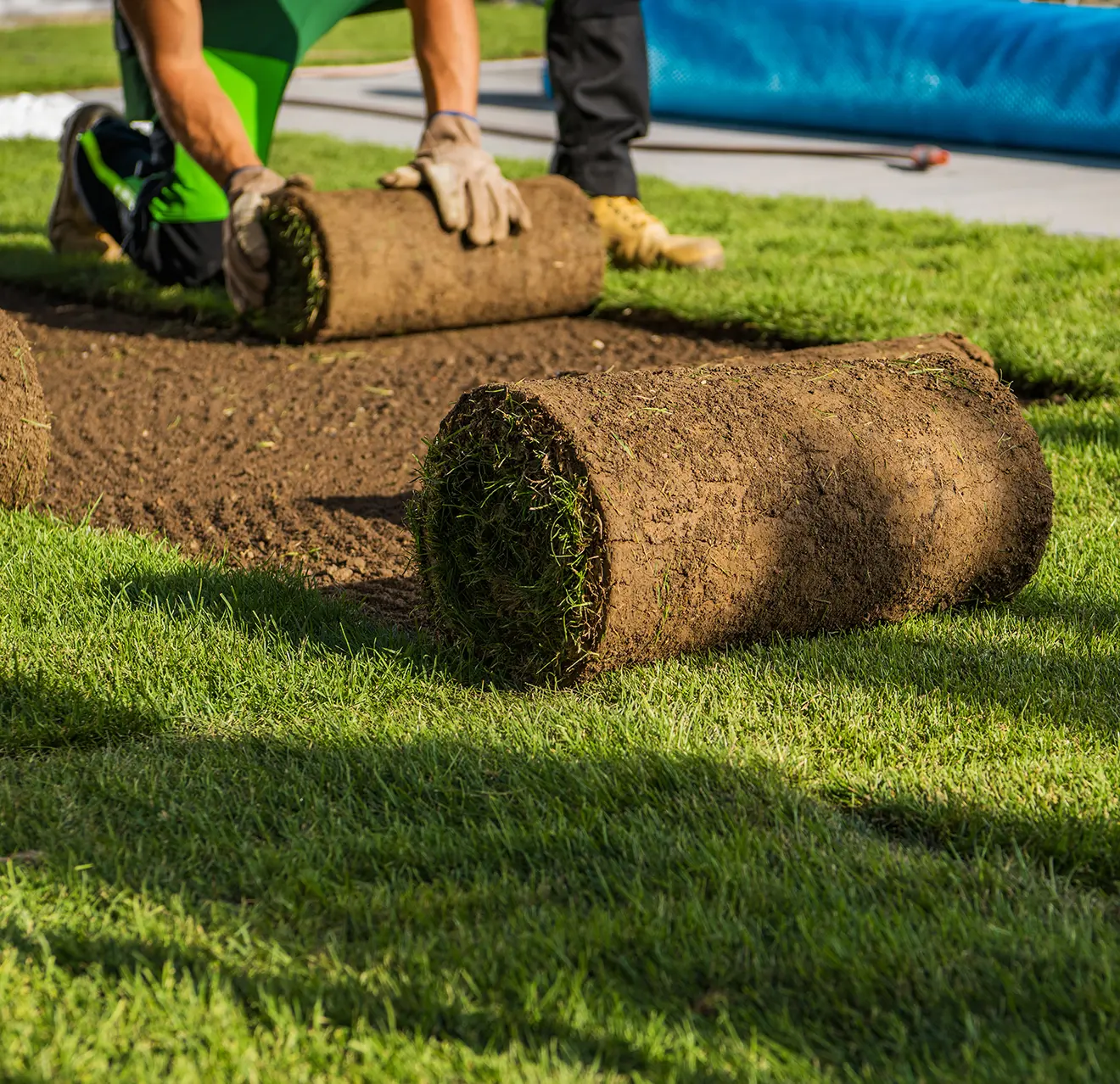 Rolls of fresh sod being installed to establish a new lawn